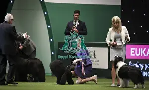 Eukanuba Uk Champion Stakes Prints: Crufts 2019 - Day Two, NEC, UK - 8 Mar 2019
