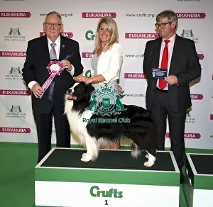 Eukanuba Uk Champion Stakes Prints: Crufts 2019 - Day Two, NEC, UK - 8 Mar 2019