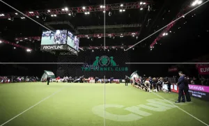 Crufts 2019 - Day Two, NEC, UK - 8 Mar 2019