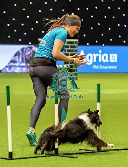 Agility Singles Finals Prints: Crufts 2019 - Day Two, NEC, UK - 8 Mar 2019