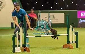 Agility Singles Finals Prints: Crufts 2019 - Day Two, NEC, UK - 8 Mar 2019