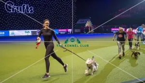 Crufts 2019 - Day Two, NEC, UK - 8 Mar 2019
