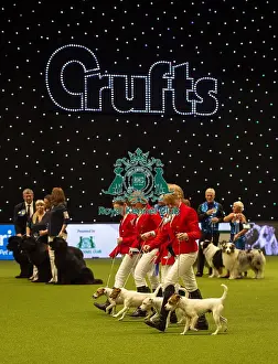 Breeders Competition Prints: Crufts 2019 - Day Two, NEC, UK - 8 Mar 2019