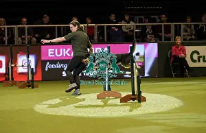 Rescue Dog Agility Prints: Crufts 2019 - Day Two, NEC, UK - 8 Mar 2019