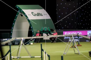 Crufts 2019 - Day Two, NEC, UK - 8 Mar 2019
