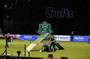 Medium Prints: Crufts 2019 - Day Two, NEC, UK - 8 Mar 2019