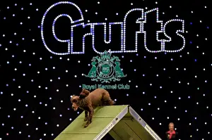 Medium Prints: Crufts 2019 - Day Two, NEC, UK - 8 Mar 2019