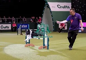 Rescue Dog Agility Prints: Crufts 2019 - Day Two, NEC, UK - 8 Mar 2019