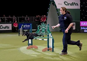 Rescue Dog Agility Prints: Crufts 2019 - Day Two, NEC, UK - 8 Mar 2019