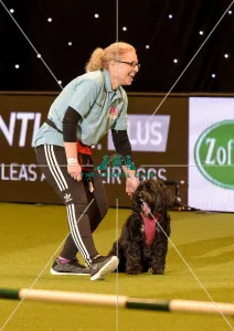 Crufts 2019 - Day Two, NEC, UK - 8 Mar 2019