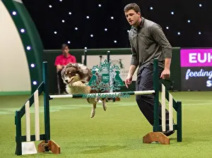 Agility Singles Finals Prints: Crufts 2019 - Day Two, NEC, UK - 8 Mar 2019