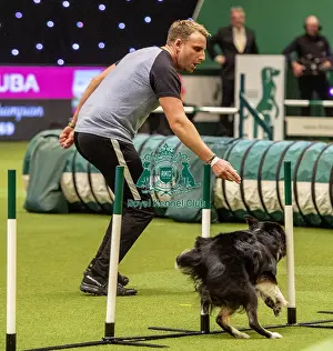 Agility Singles Finals Prints: Crufts 2019 - Day Two, NEC, UK - 8 Mar 2019