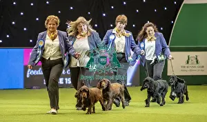 Breeders Competition Prints: Crufts 2019 - Day Two, NEC, UK - 8 Mar 2019