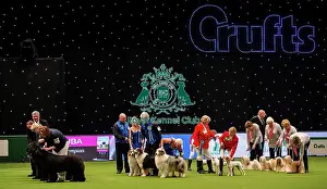 Breeders Competition Prints: Crufts 2019 - Day Two, NEC, UK - 8 Mar 2019
