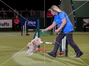 Crufts 2019 - Day Two, NEC, UK - 8 Mar 2019