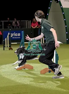 Rescue Dog Agility Prints: Crufts 2019 - Day Two, NEC, UK - 8 Mar 2019