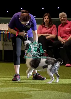 Crufts 2019 - Day Two, NEC, UK - 8 Mar 2019