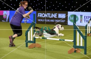 Crufts 2019 - Day Two, NEC, UK - 8 Mar 2019