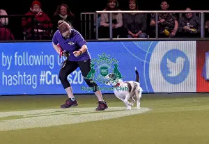 Rescue Dog Agility Prints: Crufts 2019 - Day Two, NEC, UK - 8 Mar 2019