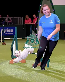 Crufts 2019 - Day Two, NEC, UK - 8 Mar 2019