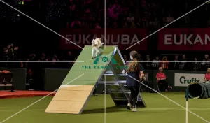 Crufts 2019 - Day Two, NEC, UK - 8 Mar 2019