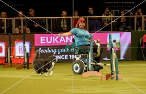 Crufts 2019 - Day Two, NEC, UK - 8 Mar 2019