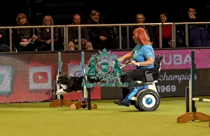 Crufts 2019 - Day Two, NEC, UK - 8 Mar 2019