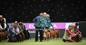 Breeders Competition Final Prints: Crufts 2019 - Day Two, NEC, UK - 8 Mar 2019