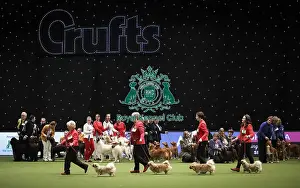 Breeders Competition Final Prints: Crufts 2019 - Day Two, NEC, UK - 8 Mar 2019