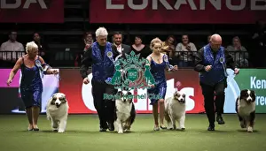 Crufts 2019 - Day Two, NEC, UK - 8 Mar 2019