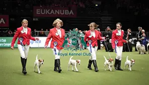 Breeders Competition Final Prints: Crufts 2019 - Day Two, NEC, UK - 8 Mar 2019