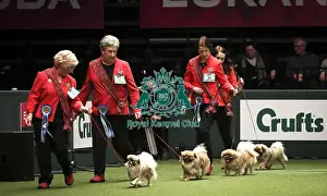 Breeders Competition Final Prints: Crufts 2019 - Day Two, NEC, UK - 8 Mar 2019