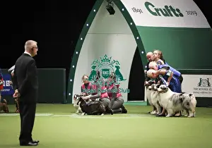 Breeders Competition Final Prints: Crufts 2019 - Day Two, NEC, UK - 8 Mar 2019