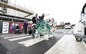 Siberian Husky Prints: Crufts 2019 - Day Two, NEC, UK - 8 Mar 2019