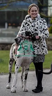 Great Dane Prints: Crufts 2019 - Day Two, NEC, UK - 8 Mar 2019