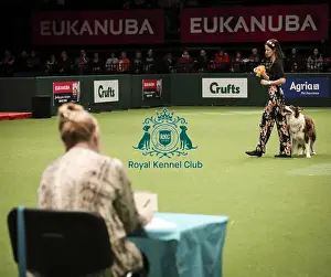 Heelwork To Music Prints: Crufts 2019 - Day Two, NEC, UK - 8 Mar 2019