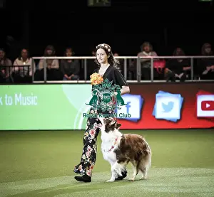 Heelwork To Music Prints: Crufts 2019 - Day Two, NEC, UK - 8 Mar 2019