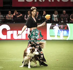 Heelwork To Music Prints: Crufts 2019 - Day Two, NEC, UK - 8 Mar 2019