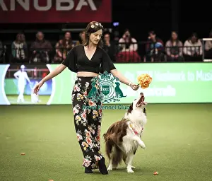 Heelwork To Music Prints: Crufts 2019 - Day Two, NEC, UK - 8 Mar 2019