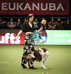 Heelwork To Music Prints: Crufts 2019 - Day Two, NEC, UK - 8 Mar 2019