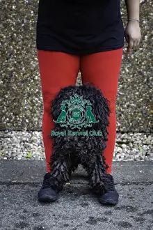 Hungarian Puli Prints: Crufts 2019 - Day Two, NEC, UK - 8 Mar 2019