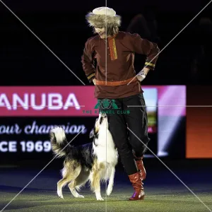 Crufts 2019 - Day Two, NEC, UK - 8 Mar 2019