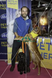 labrador
