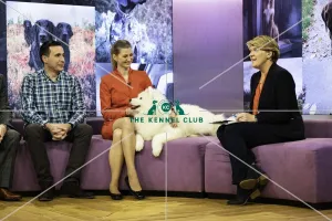 Pastoral Group Winner SAMOYED
