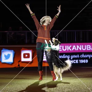 Crufts 2019 - Day Two, NEC, UK - 8 Mar 2019
