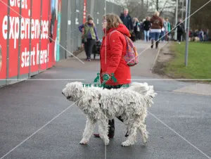 Crufts 2019 - Day Two, NEC, UK - 8 Mar 2019