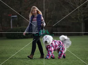 Old English Sheepdog