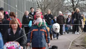 Crufts 2019 - Day Two, NEC, UK - 8 Mar 2019