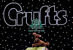 Medium Prints: Crufts 2019 - Day Two, NEC, UK - 8 Mar 2019
