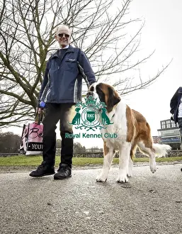 Arrival Prints: Crufts 2019 - Day Two, NEC, UK - 8 Mar 2019